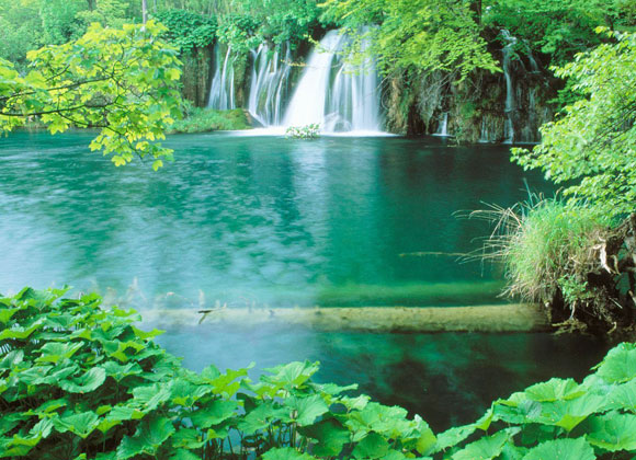 general-ponds-lakes-applications-02